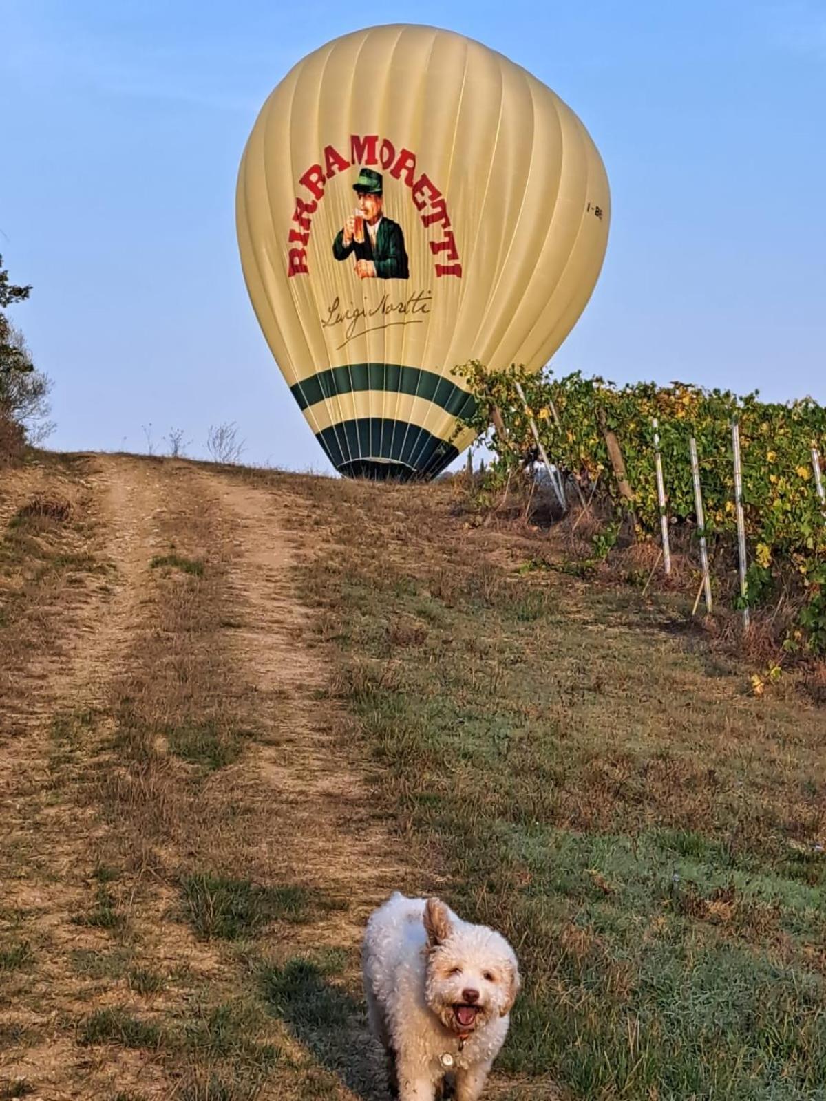 Podere Fichereto Tuscany Apartment In Florence Countryside Скандичи Екстериор снимка